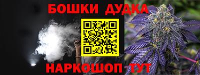 сатива Кандалакша