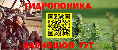 спиды Канаш