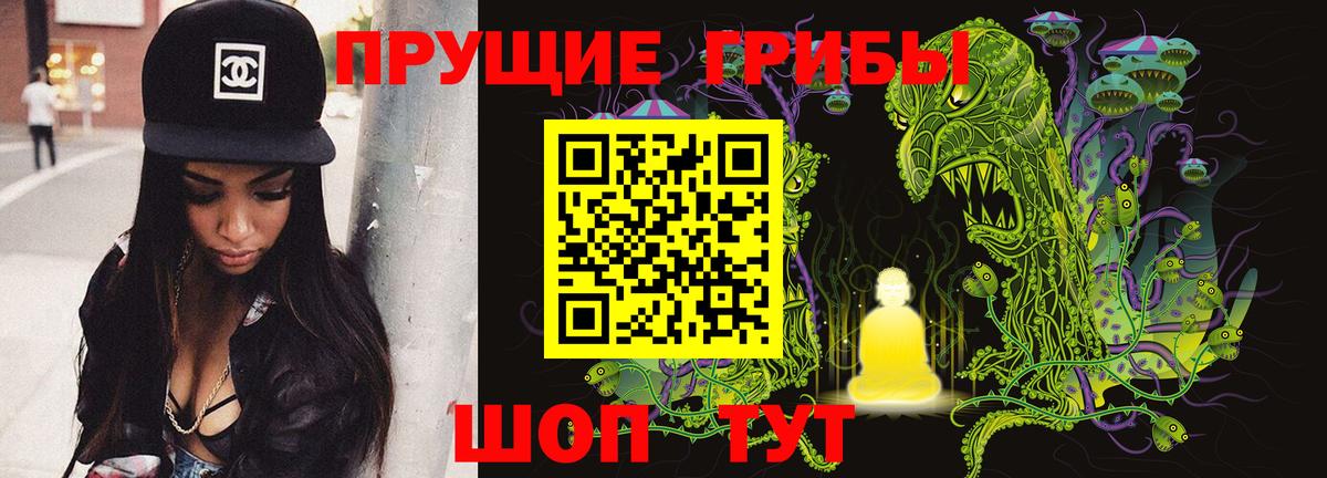 Псилоцибиновые грибы GOLDEN TEACHER Ливны